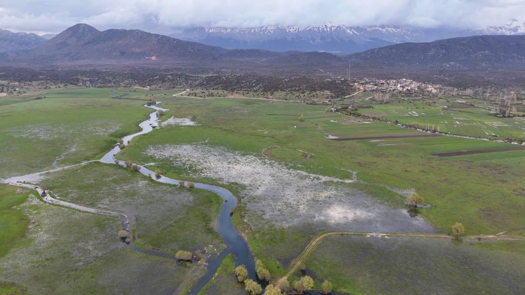 Konya'da masaldan çıkma, tablo gibi güzellik! Leylekler burada mola veriyor 2